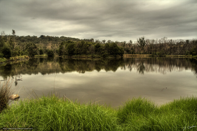 Calm Lake with Trees — Green, Serene, Photograph