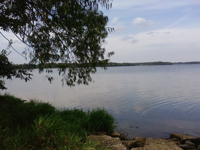 Calm Lake with Trees — Green, Serene