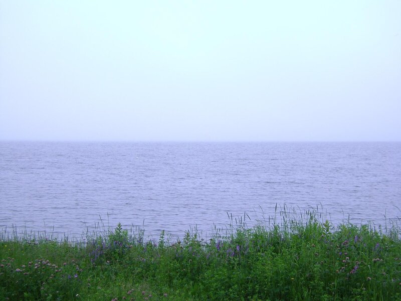 calm lake with wildflowers