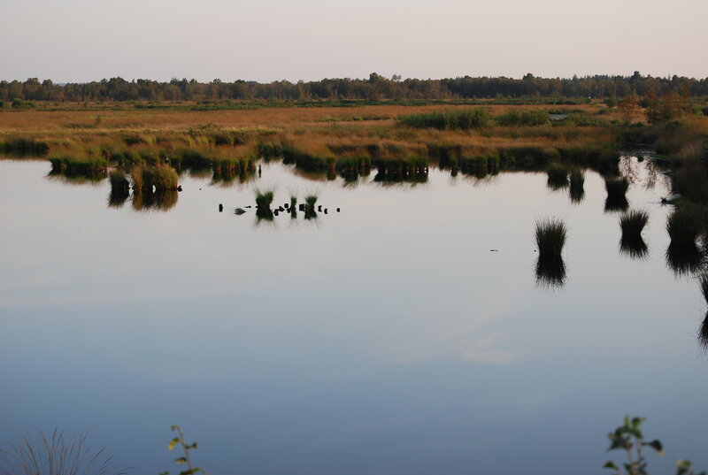 calm marsh at dusk