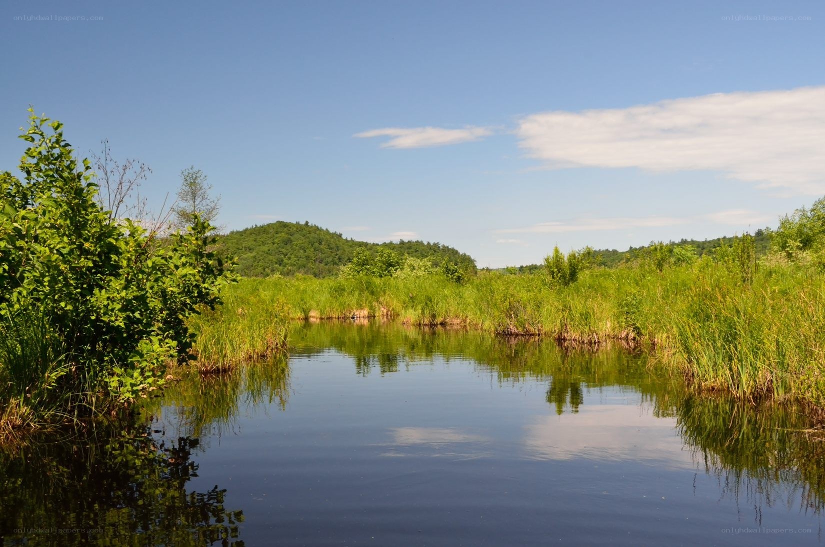 Calm marsh with green hills