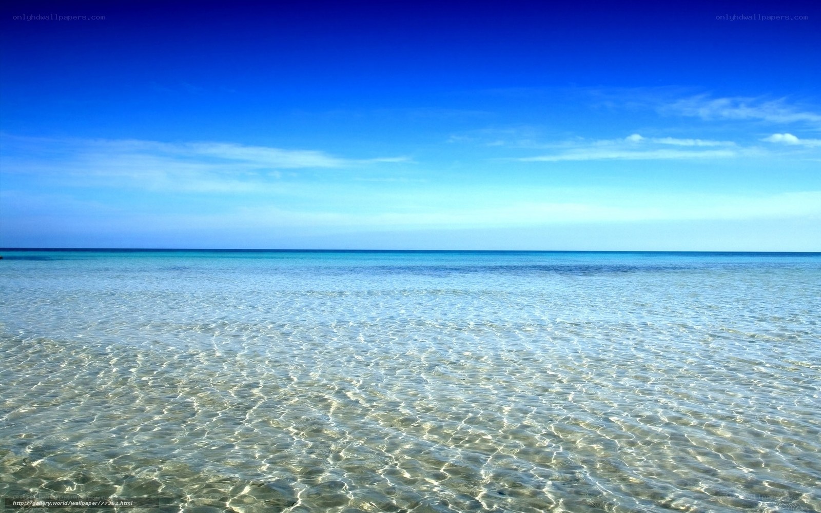 Calm ocean beach scene