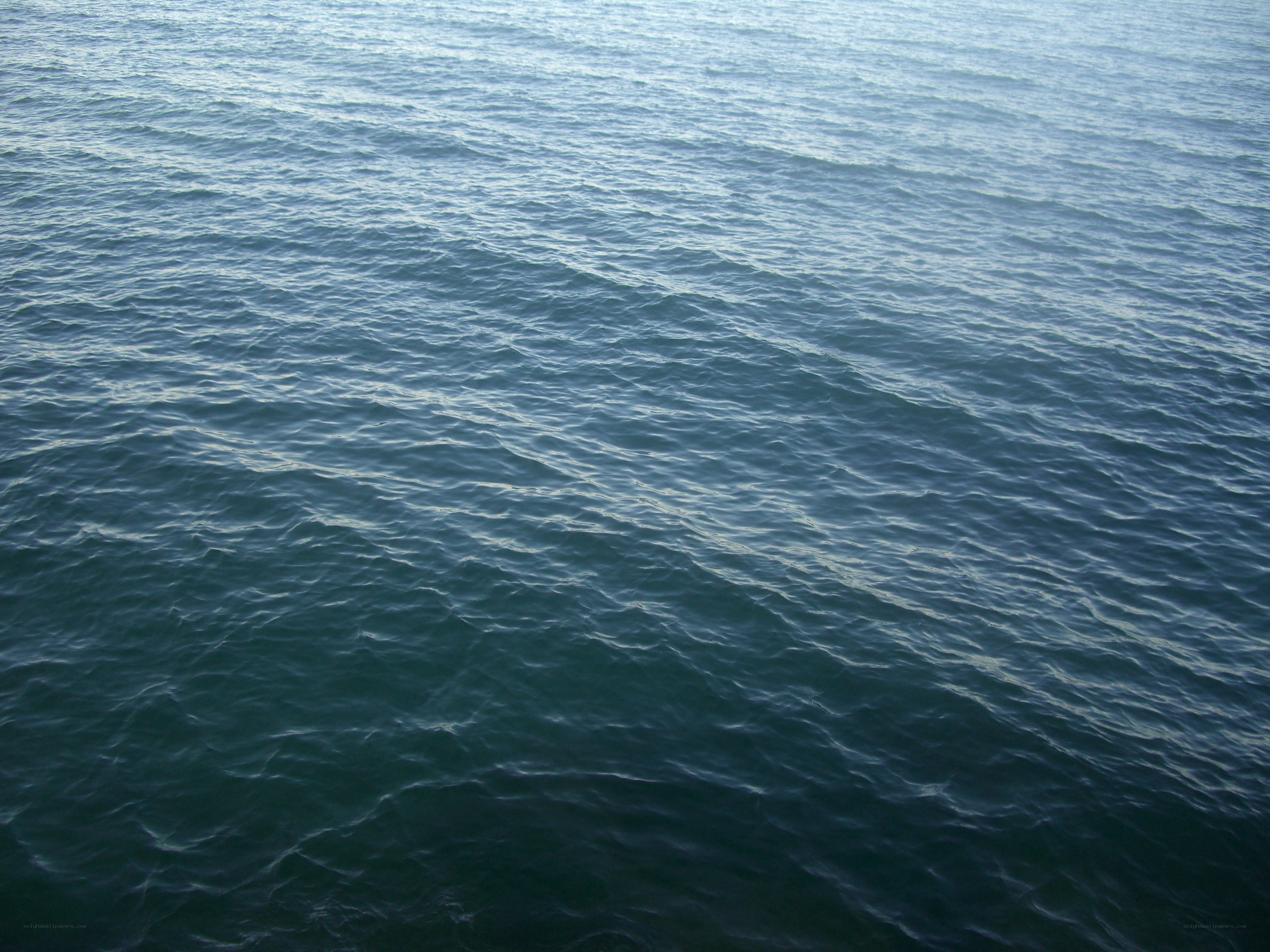 calm ocean surface