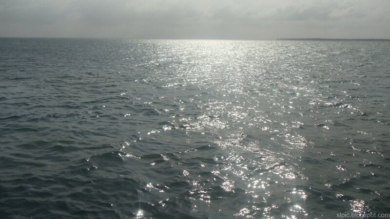 Calm Ocean Surface — Gray