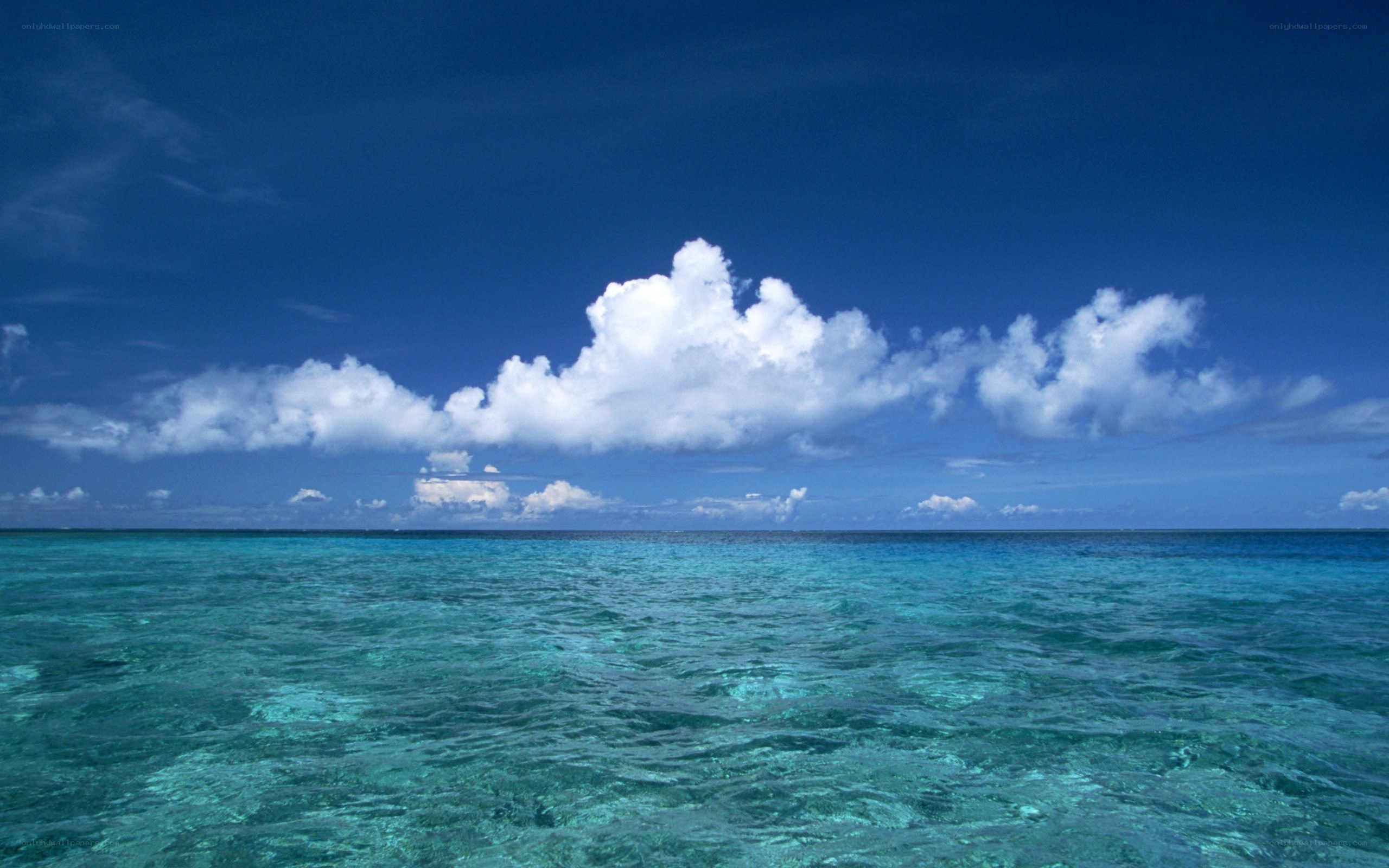 Calm ocean under blue sky