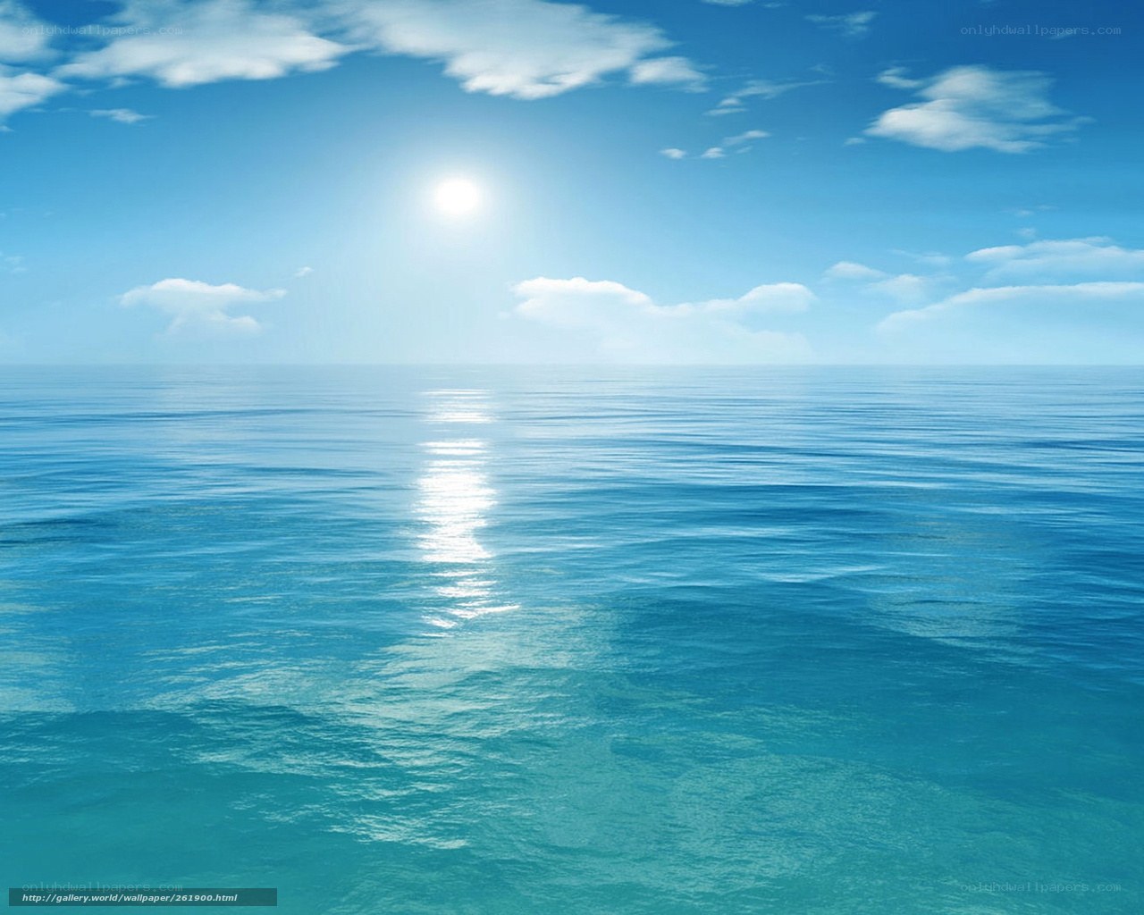 calm ocean under sunny sky