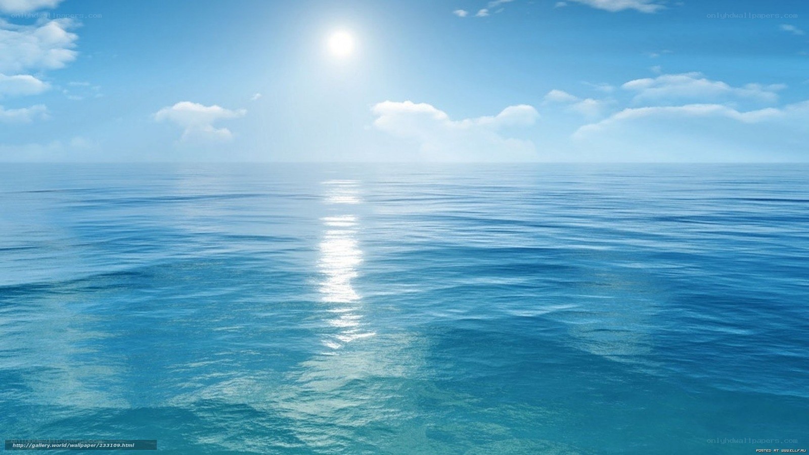 calm ocean under sunny sky