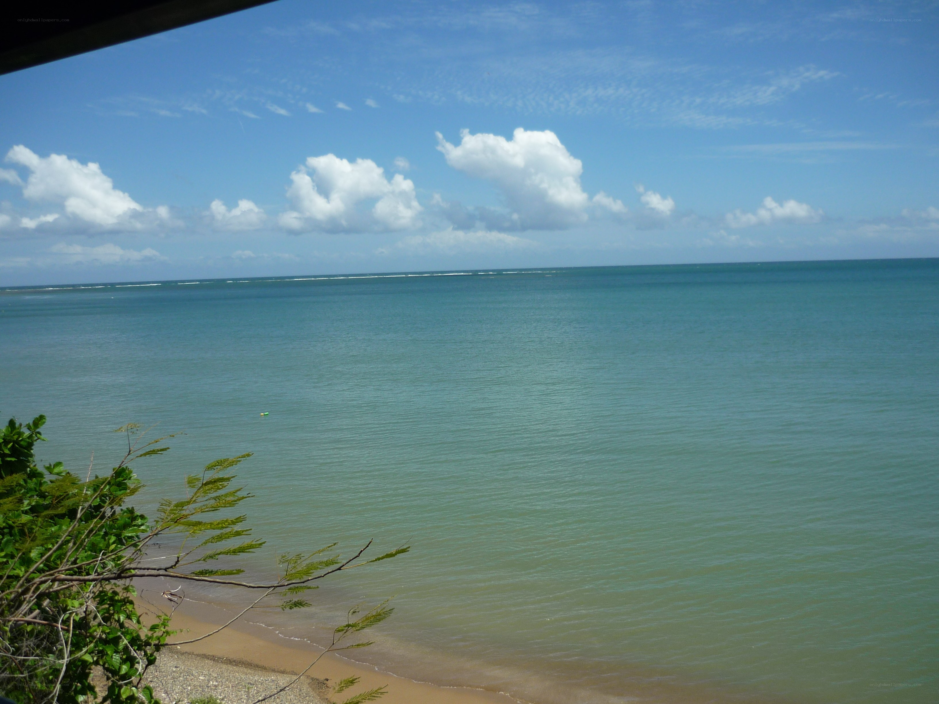 calm ocean view from beach