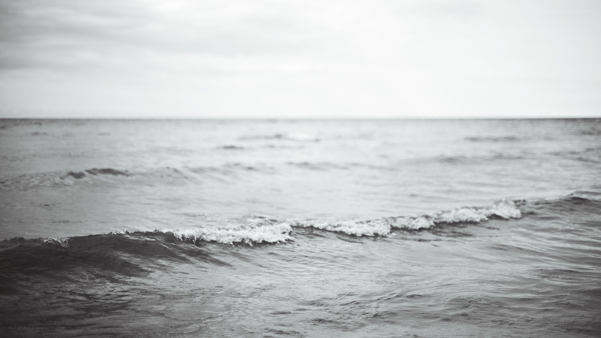 calm ocean waves