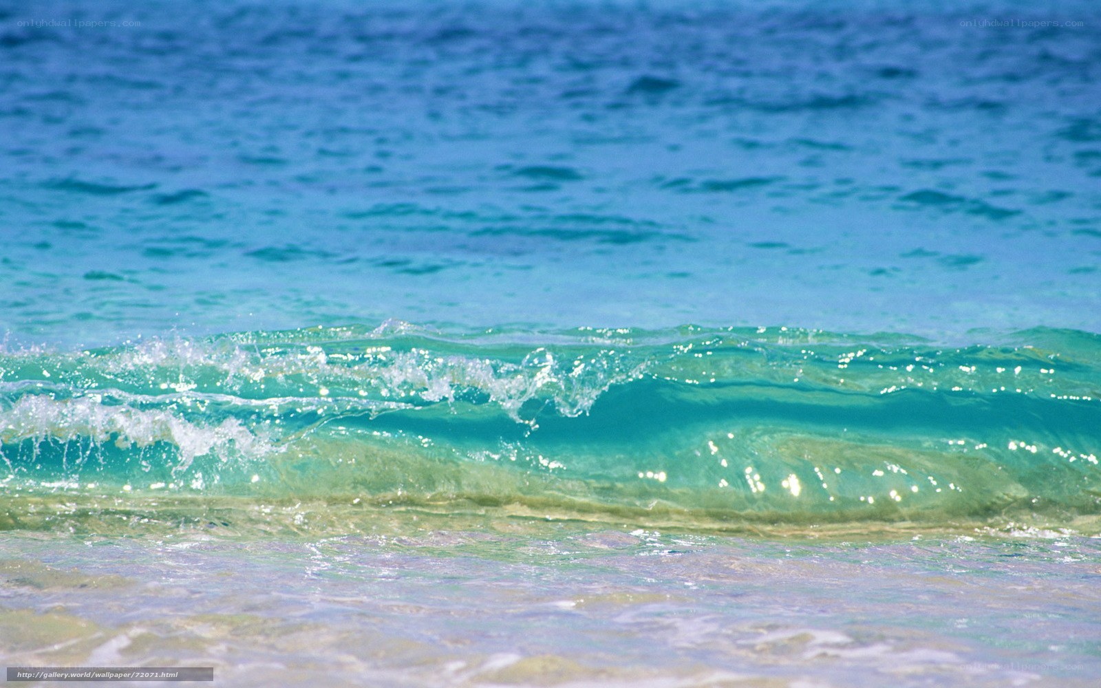 Calm ocean waves at beach