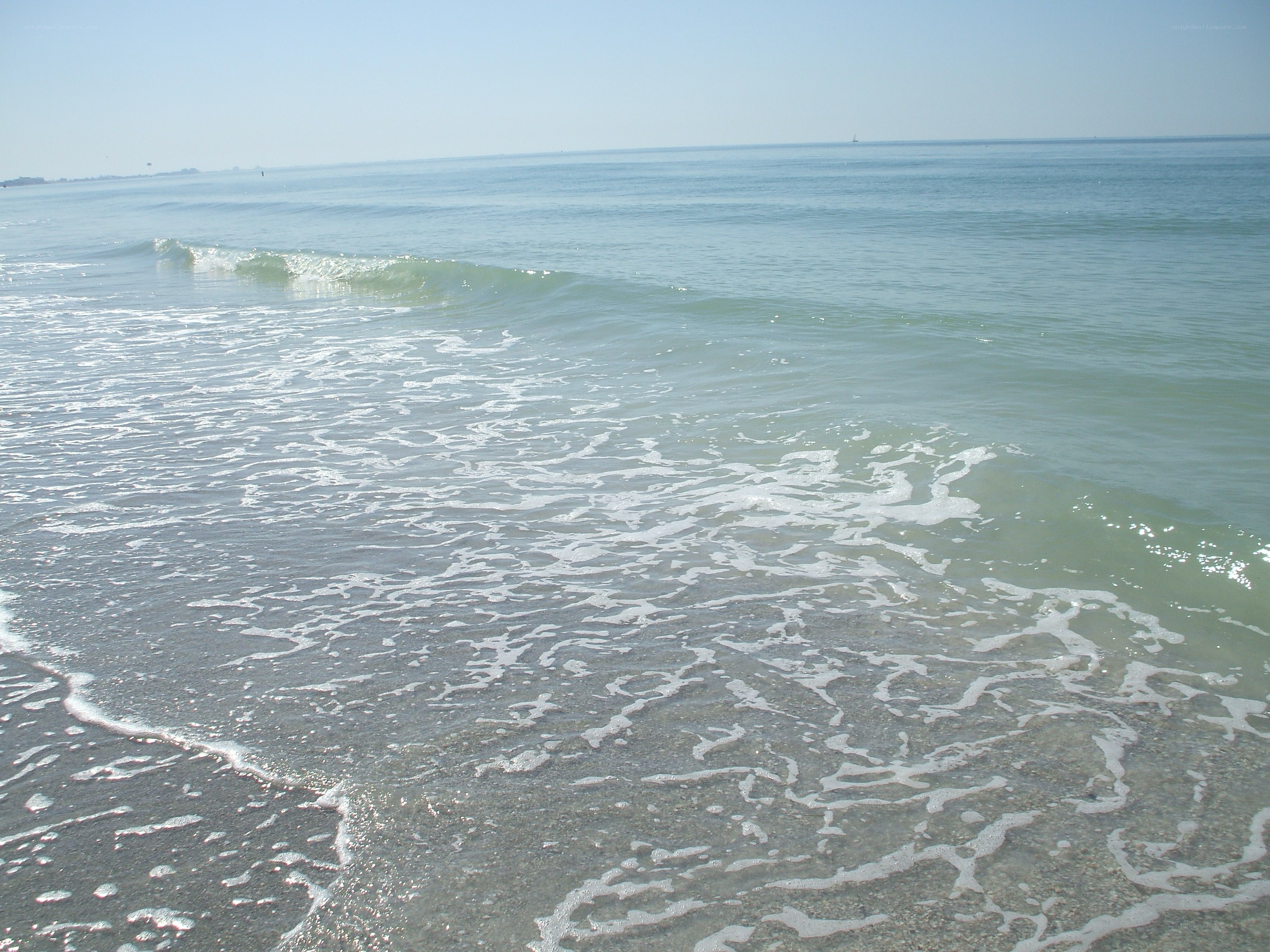 calm ocean waves at the shore
