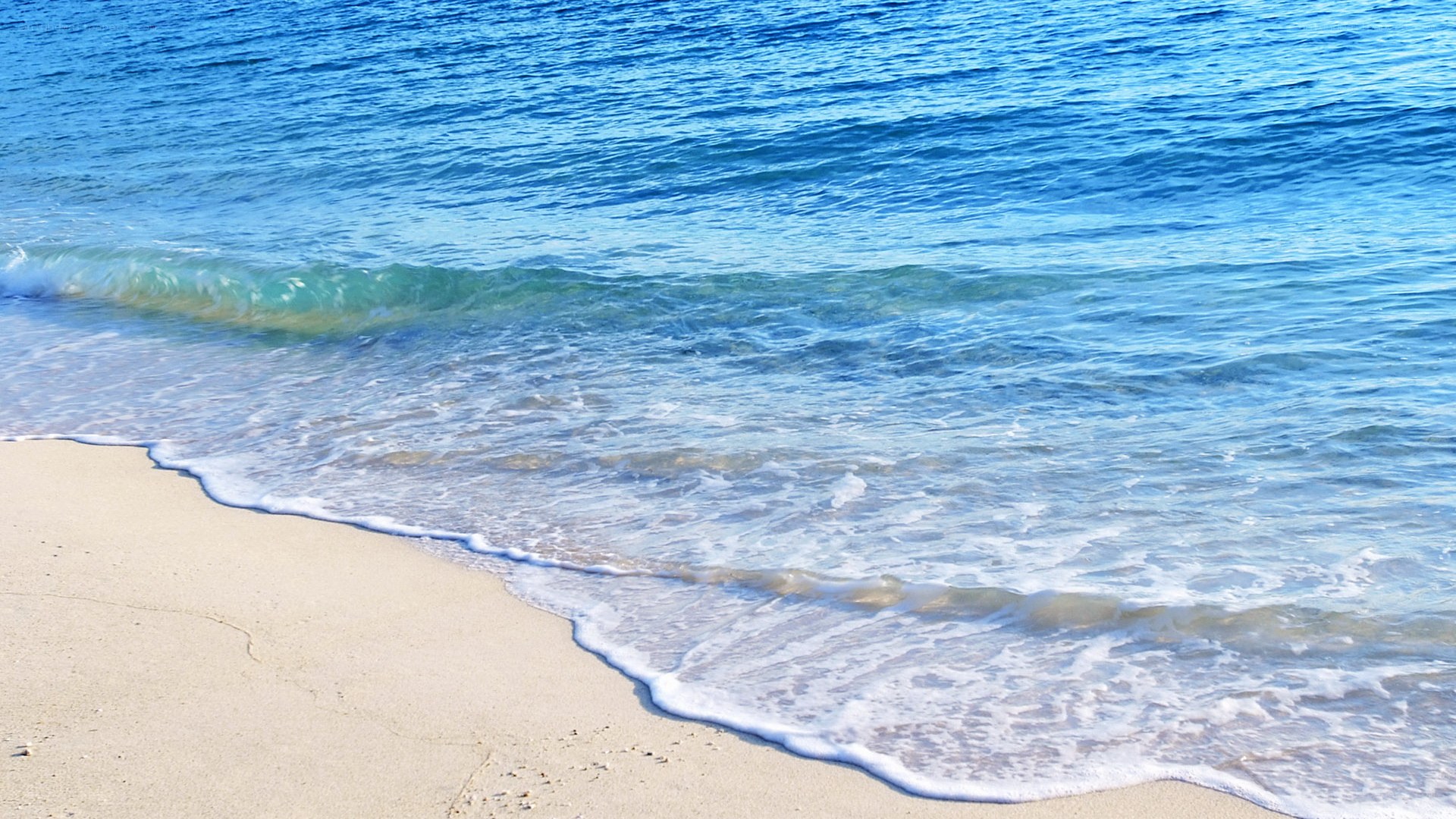 Calm ocean waves on sandy beach
