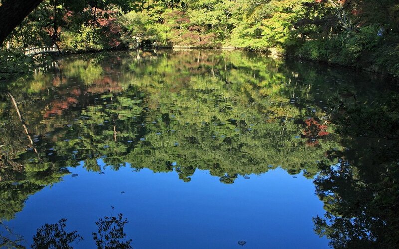 Calm Pond Reflecting Trees