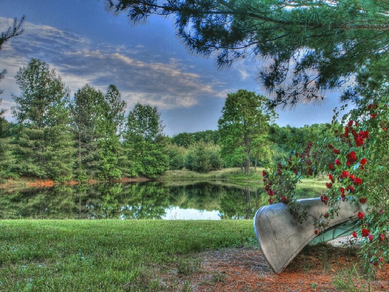 Calm pond with canoe and roses