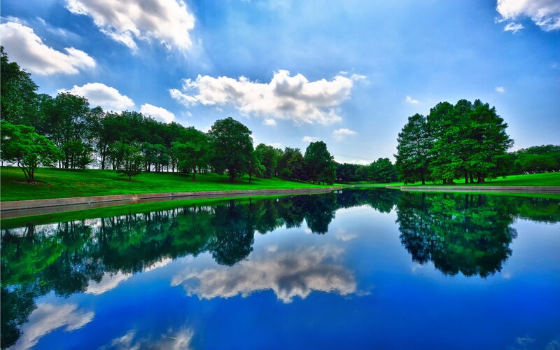 Calm Pond with Trees — Blue, Serene, Afternoon