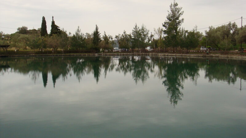 Calm Pond with Trees
