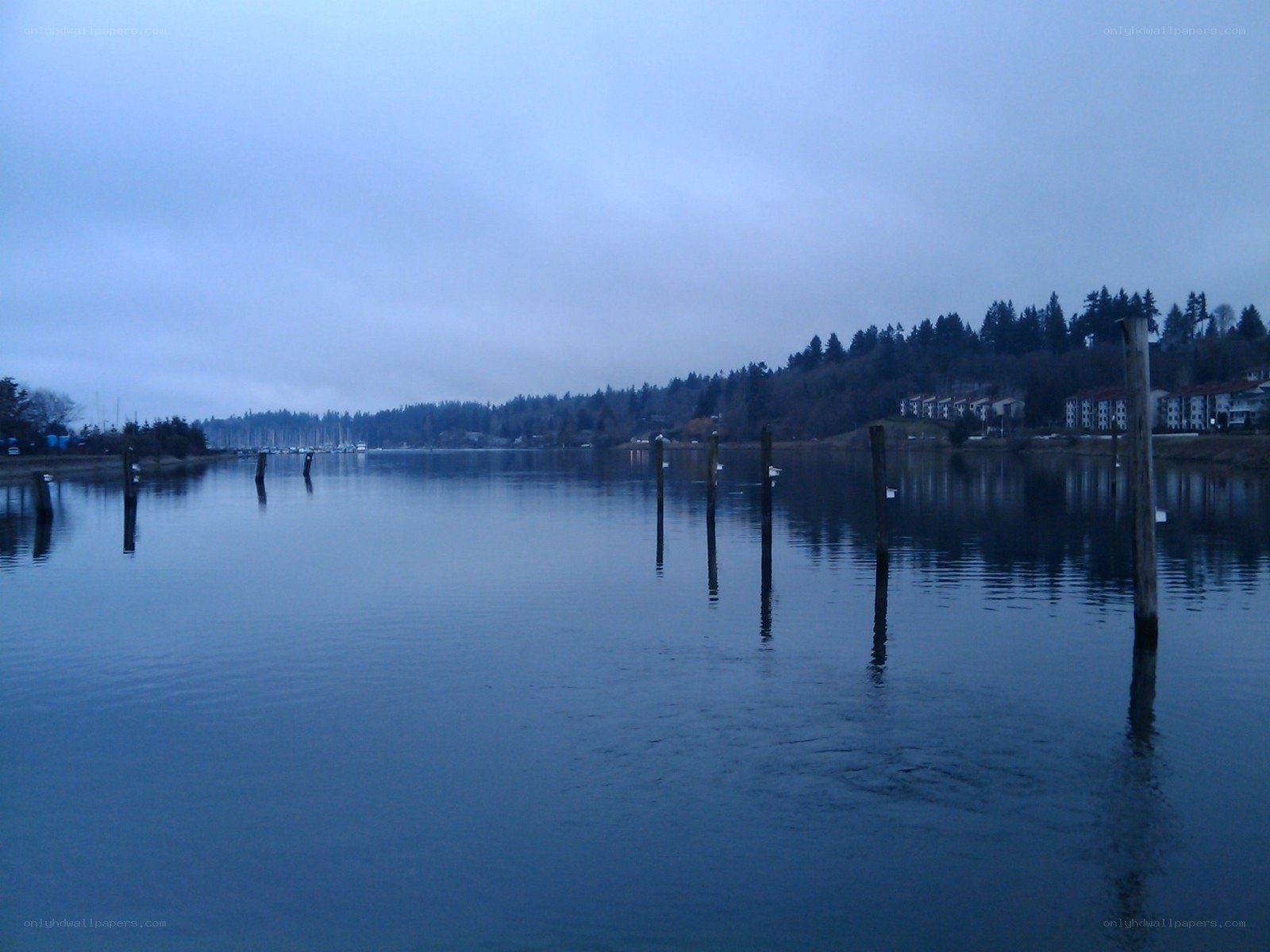 calm river at dusk