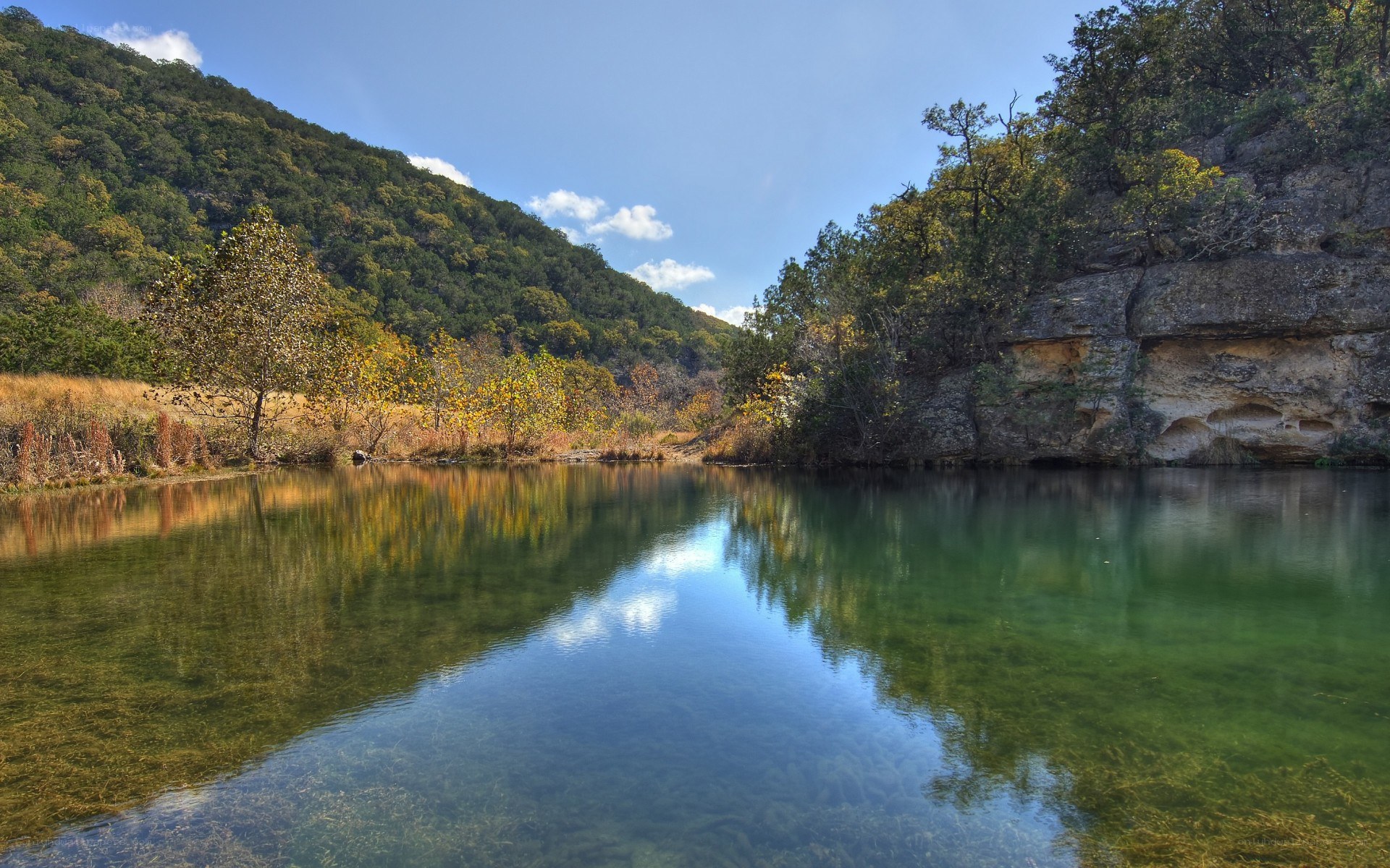 Calm river in forested canyon
