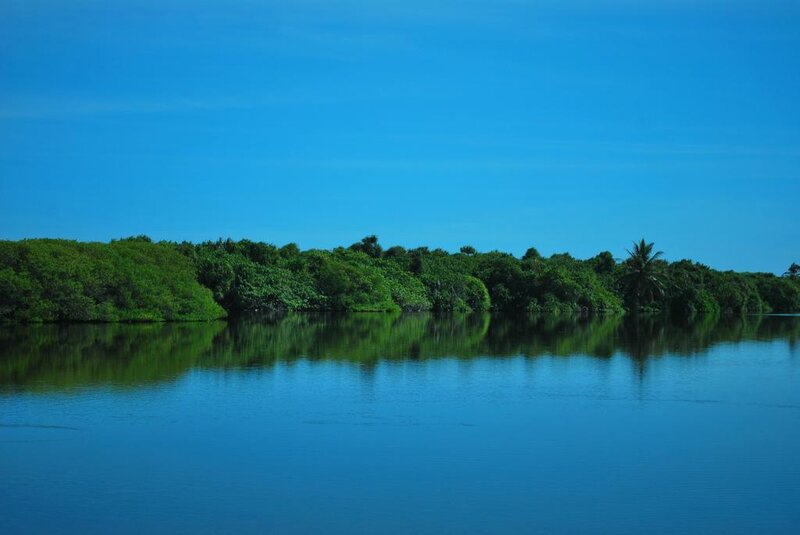 calm river with forest reflection