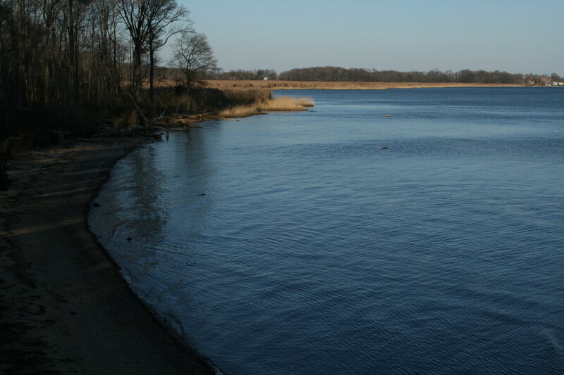 calm riverbank at dusk