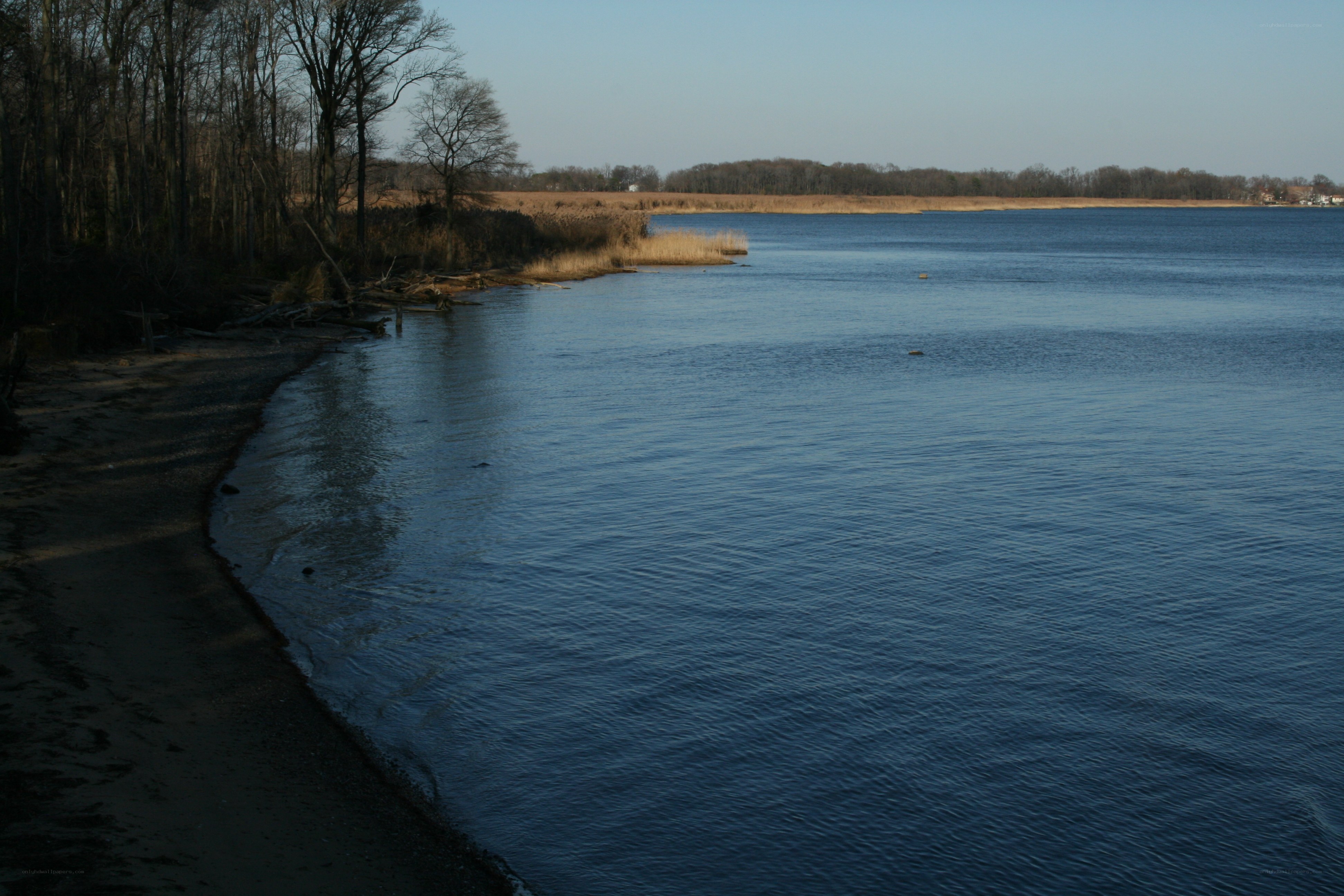 calm riverbank at dusk