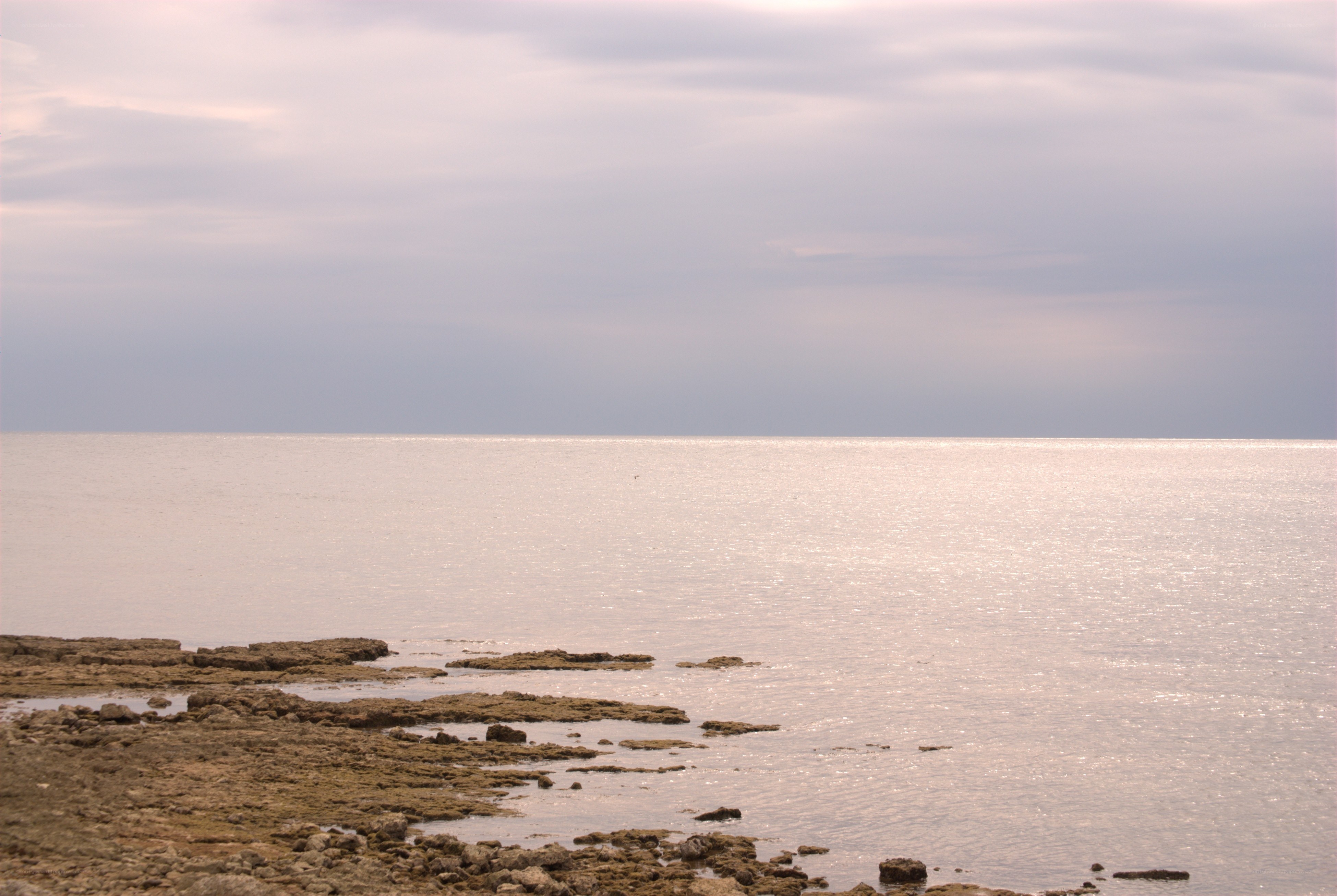calm sea at dusk