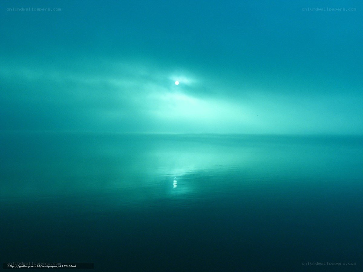 calm sea under moonlight