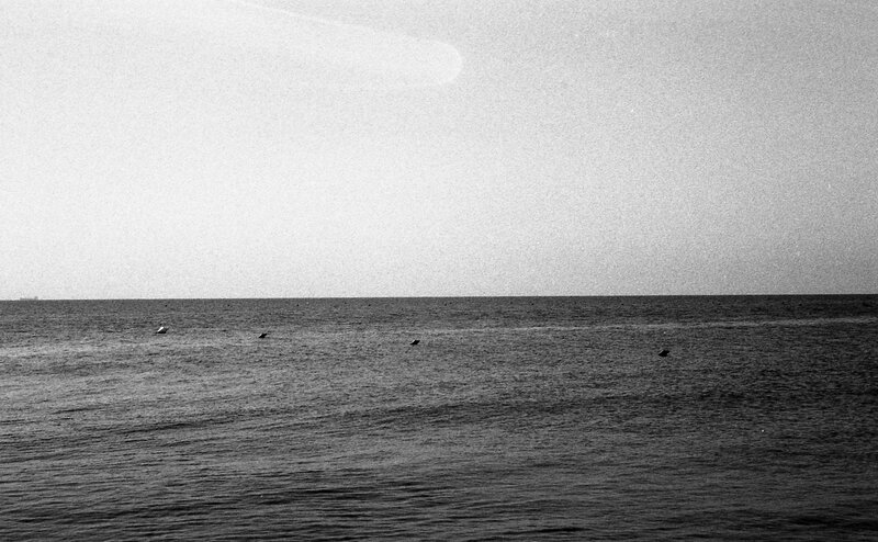 calm sea with buoys