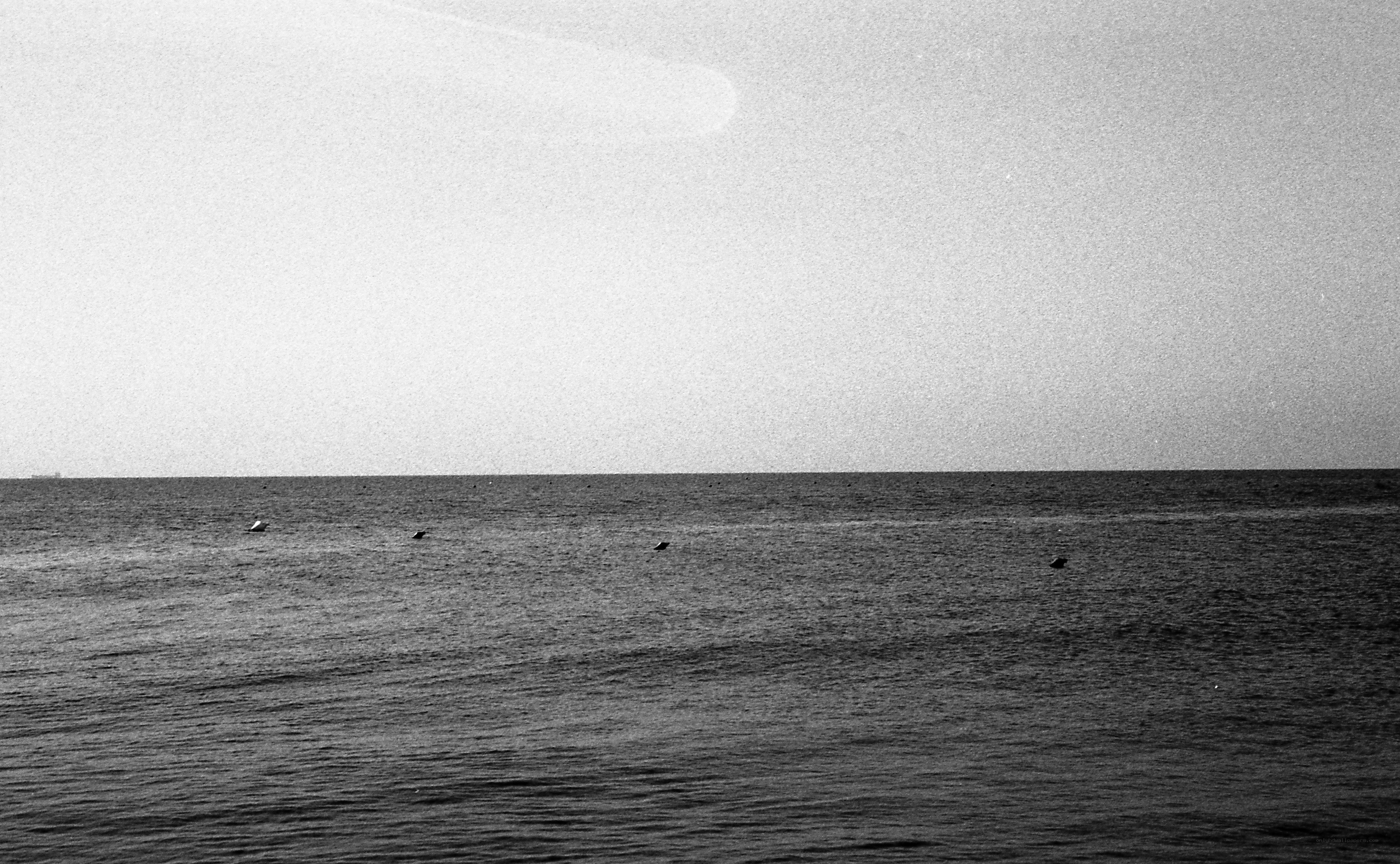 calm sea with buoys