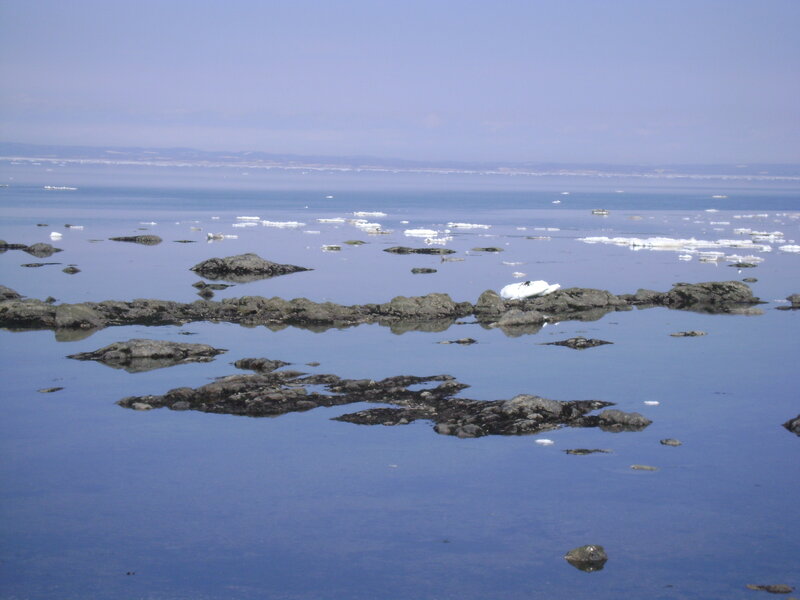 calm sea with ice and rocks