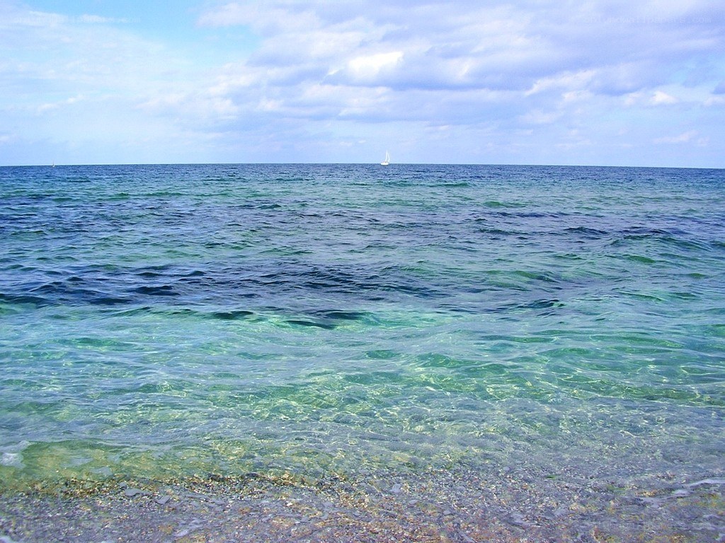 Calm sea with sailboat
