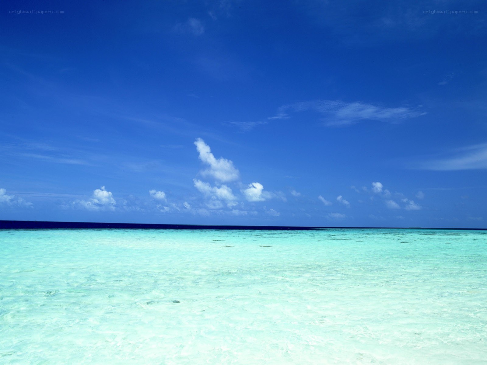 Calm tropical beach scene