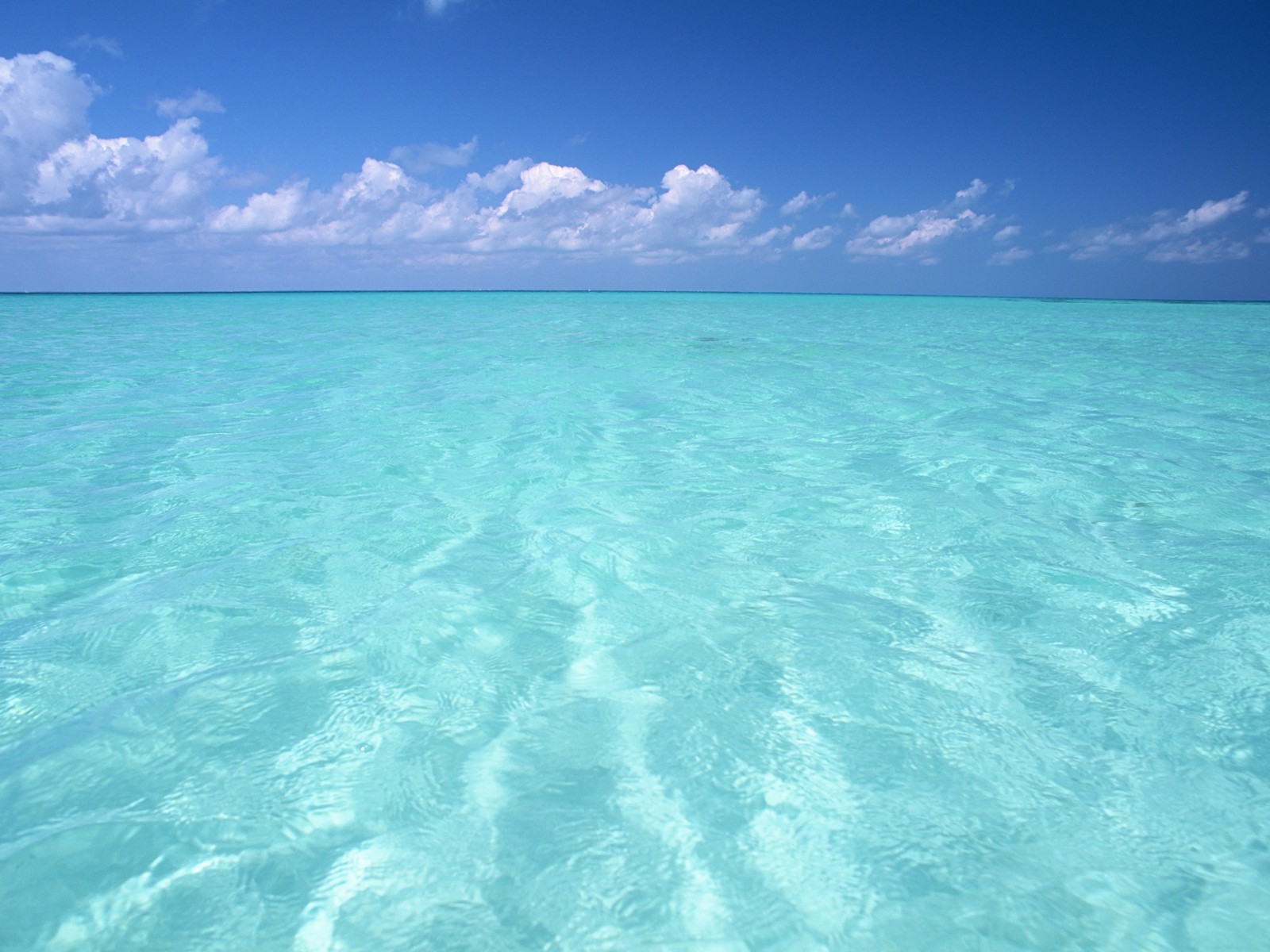 Calm turquoise ocean waters
