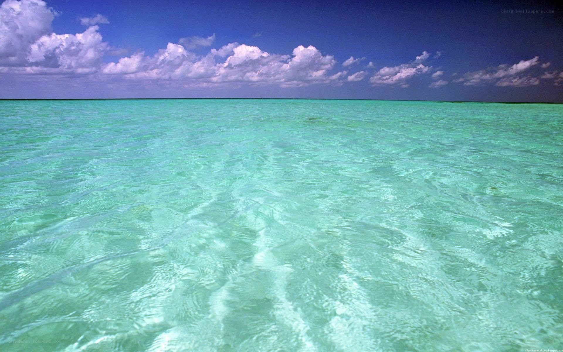 Calm turquoise ocean waters