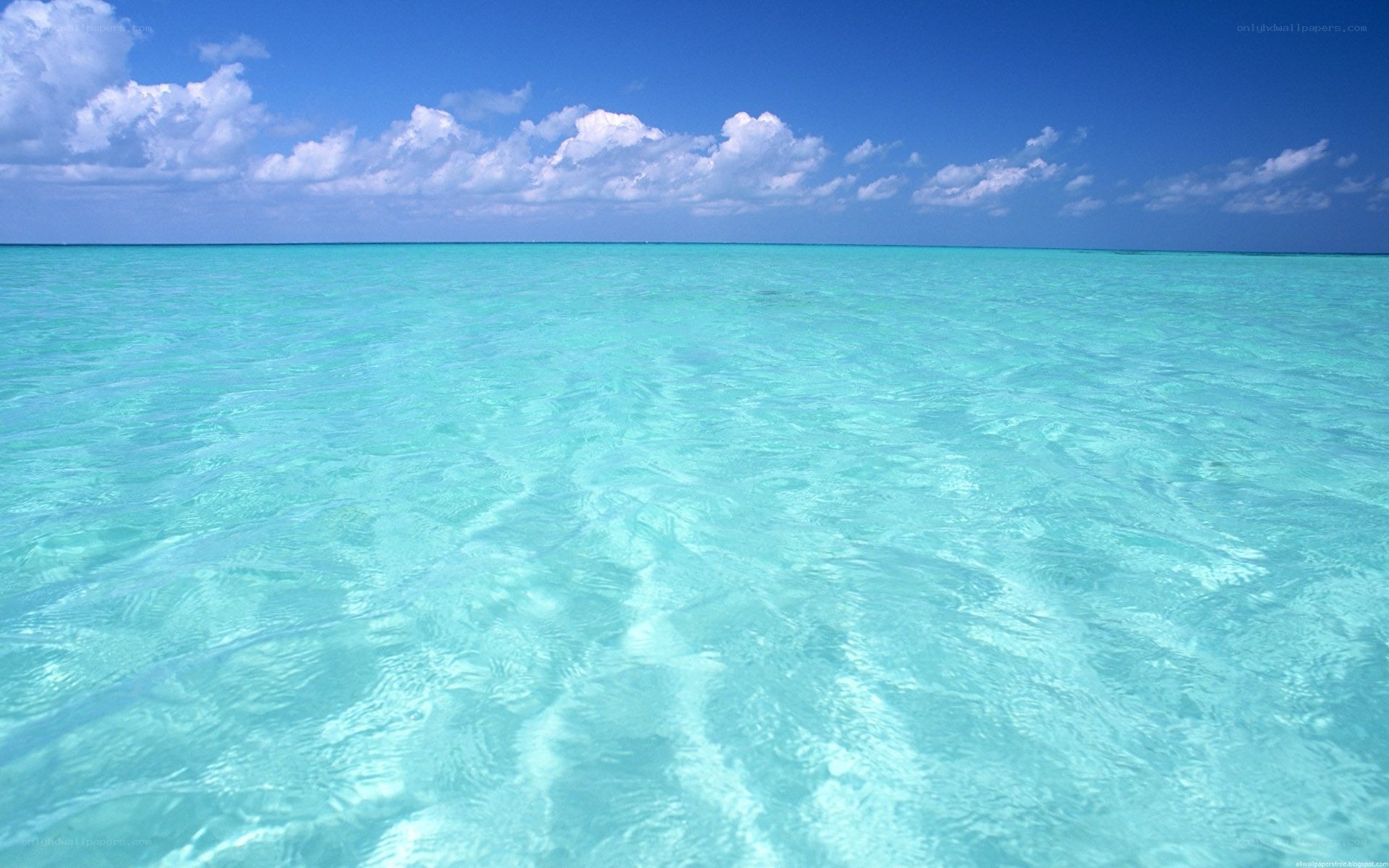 Calm turquoise ocean waters