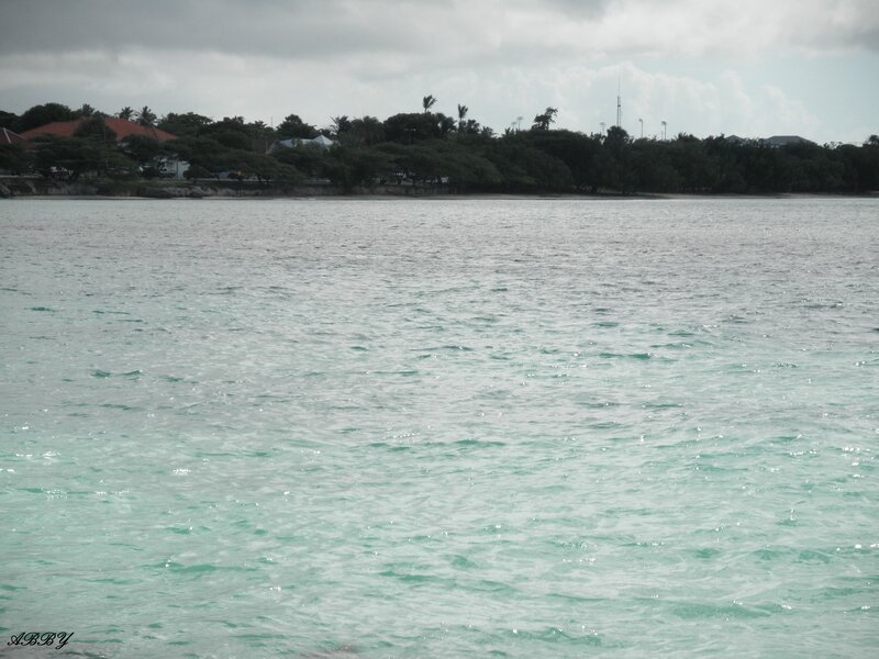 Calm Turquoise Water
