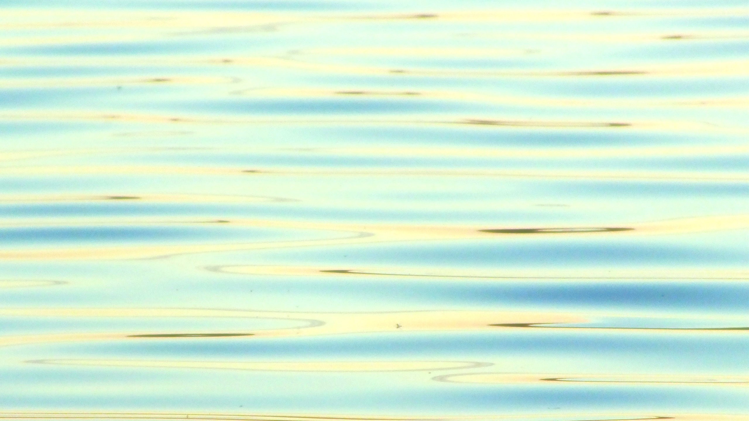 calm water ripples