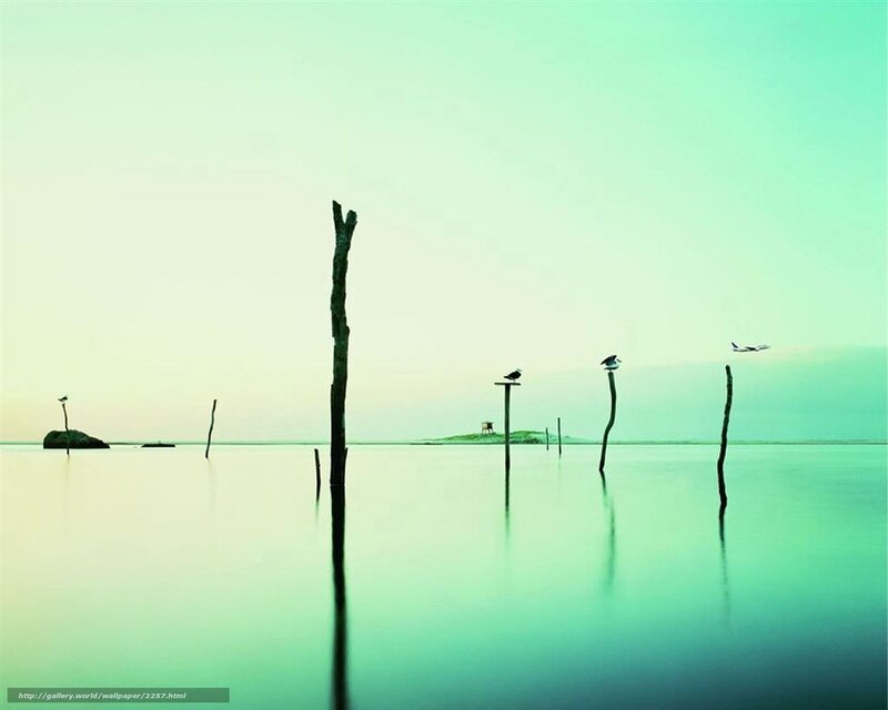 calm water with wooden posts