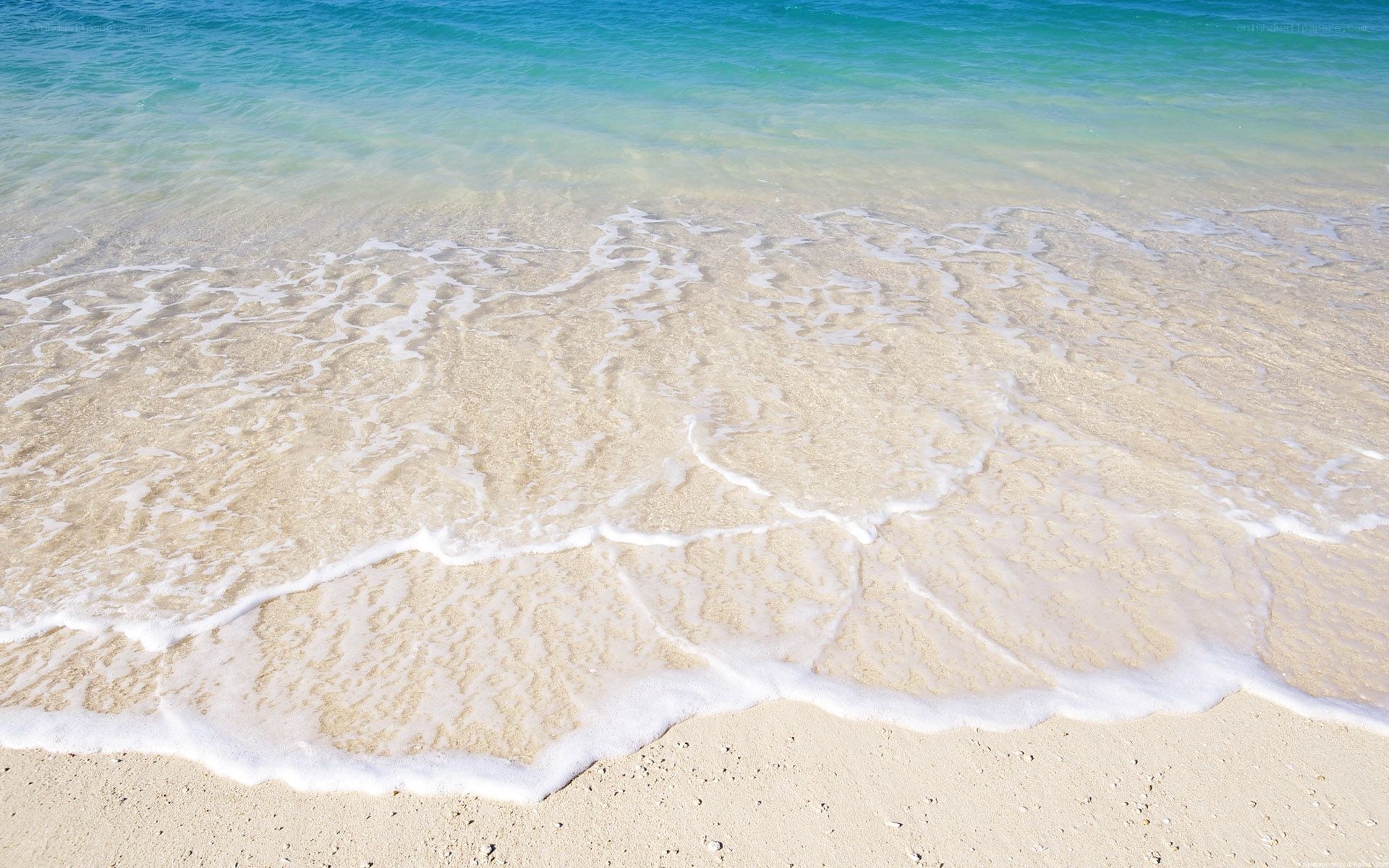 Calm waves on a sandy beach