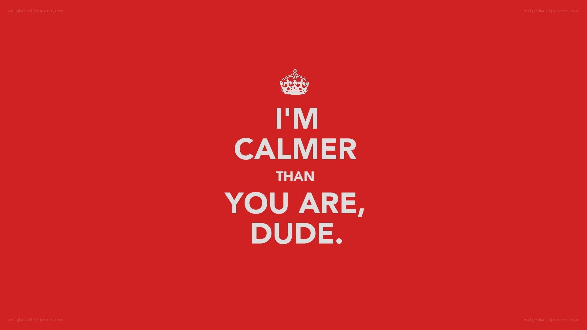 calmer than you dude