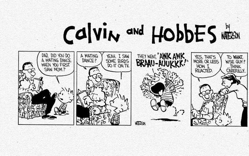 Calvin and His Father