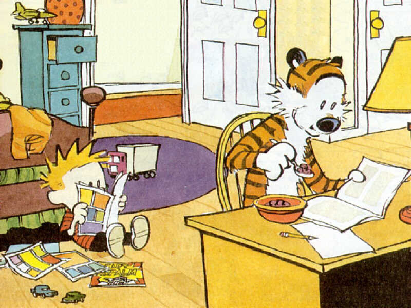 Calvin and Hobbes at home