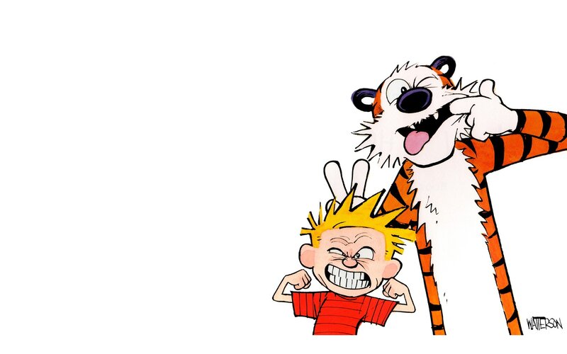 Calvin and Hobbes cartoon