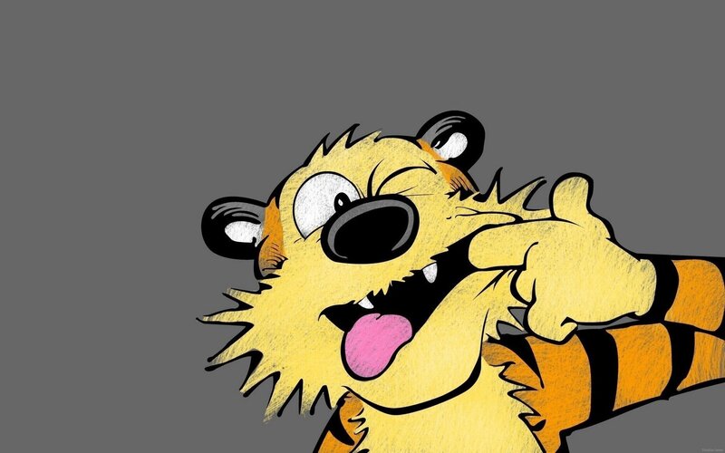 Calvin and Hobbes cartoon