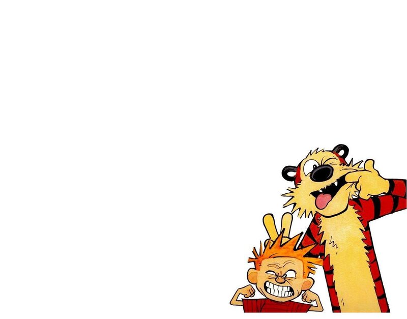 Calvin and Hobbes cartoon