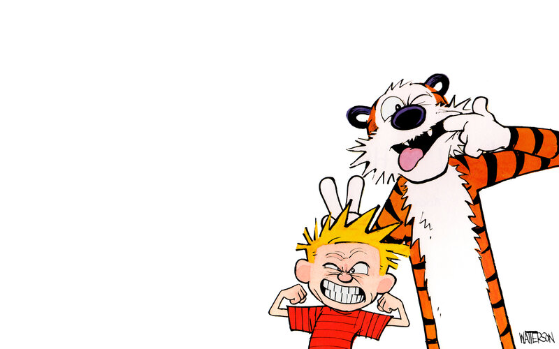 Calvin and Hobbes cartoon