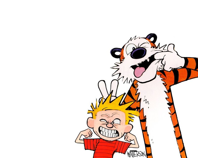 Calvin and Hobbes cartoon