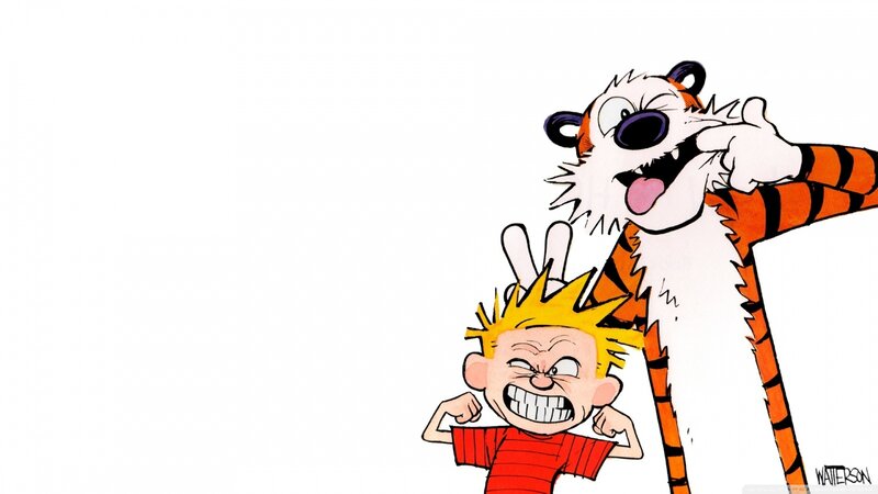 Calvin and Hobbes cartoon