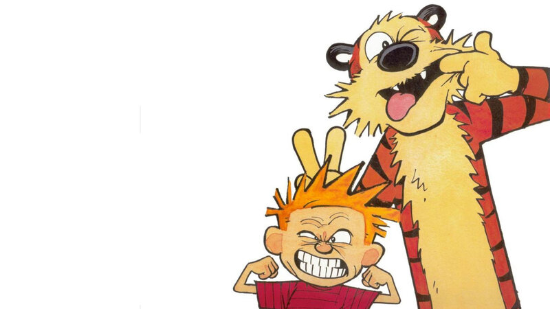 Calvin and Hobbes cartoon
