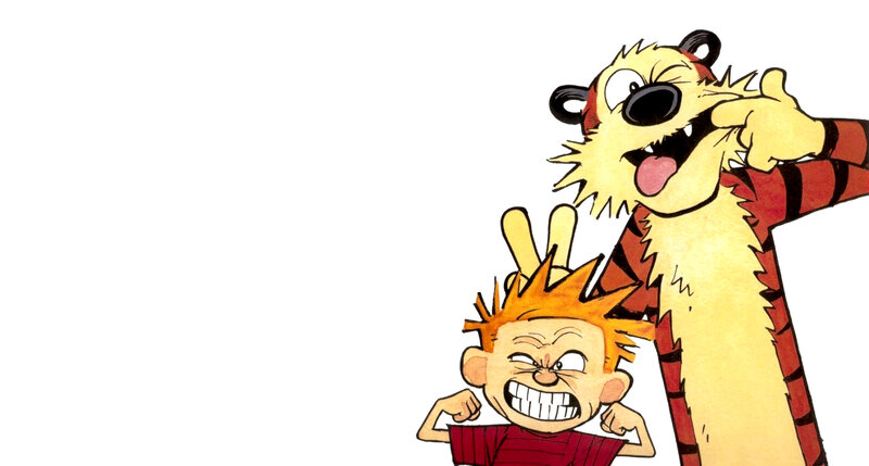 Calvin and Hobbes cartoon